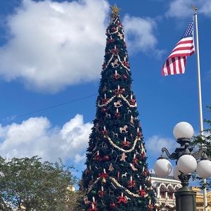 Meet your Posher, Cecilia